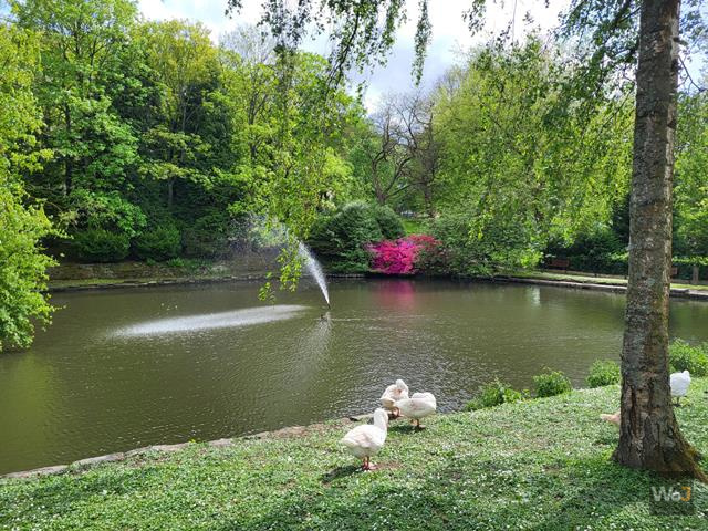 img > Parc de Mouscron