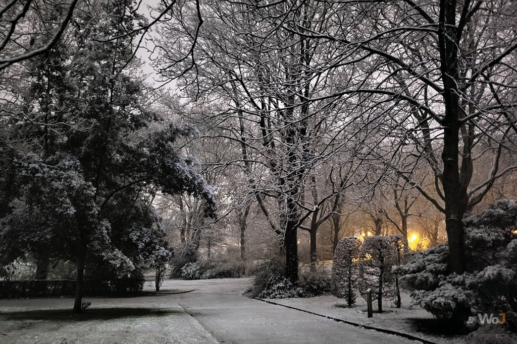 Le Parc de Mouscron III